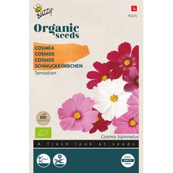 Organic Cosmos Sensation BIO - Buzzy