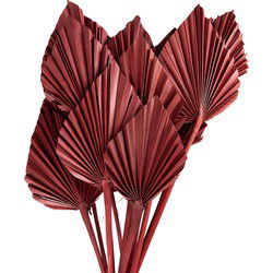 Clayre & Eef Droogbloemen Roze Droogbloemen