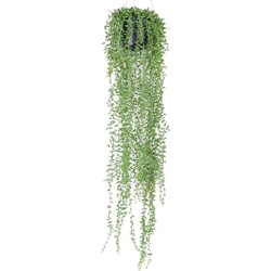 Hangplant met pot 5