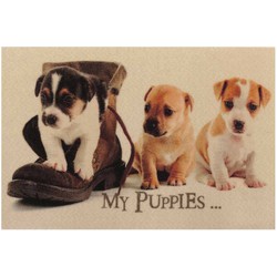 Deurmat voor puppy's - L60 x b40 cm