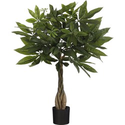 Pachira Kunstplant - H60 x Ø60 cm - Groen