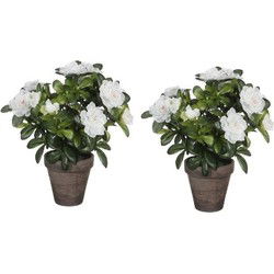 Mica Decorations Kunstplant - 2x - Azalea - groen/wit - 27 cm - Kunstplanten