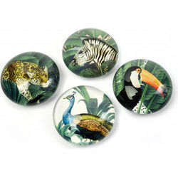 Trendform Magnet Eye - Royal Garden - set van 4 verschillende