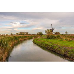 Tuinschilderij polderland 70x50