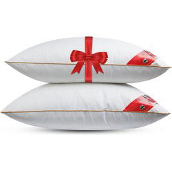Canada Stevig Veren Hoofdkussen - Set van 2 stuks - DownPass gecertficeerde Veren - Ergonomisch - 60x70cm