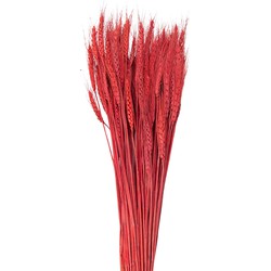 Clayre & Eef Droogbloemen  80 cm Rood Droogbloemen Droogboeket