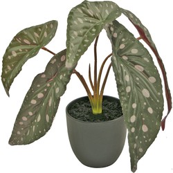 Kunst Begonia 26 cm in sierpot zwart