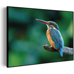 Muurwerken Akoestisch Schilderij - De Ijsvogel - Geluidsdempend Wandpaneel - Wanddecoratie - Geluidsisolatie - PRO (AW 0.90) M (85X60)