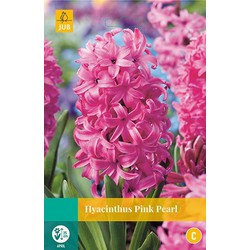 3 stuks - Hyacint Pink Pearl 4 bollen