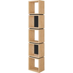 Boekenplank 5 Vakken H167 cm - Lofty