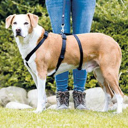 TRIXIE HONDENTUIG STAY ZWART 30-40X1 CM
