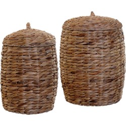 Lolaa Manden set Hyacinth 56cm - 2 stuks