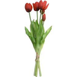 Boeket 5 Tulpen Rood - Driesprong Collection