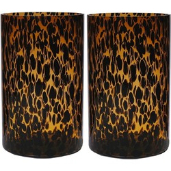 Set van 2x stuks modieuze bloemen cylinder vaas/vazen van glas 30 x 19 cm zwart fantasy - Vazen