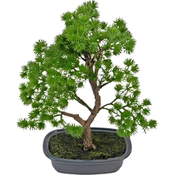 Hoyz Greenery - Kunstplant Bonsai Juniper 30 cm