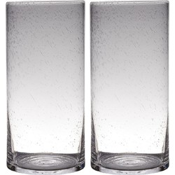 Set van 2x stuks transparante home-basics cylinder vorm vaas/vazen van bubbel glas 40 x 19 cm - Vazen