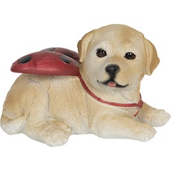 Clayre & Eef Beeld Hond 11x9x7 cm Beige Polyresin Woonaccessoires