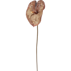 Donkerbruine kunst anthurium steel H76