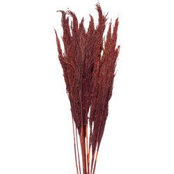 Clayre & Eef Droogbloemen Rood Droogbloemen