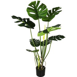 Monstera 110 cm