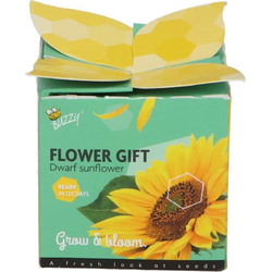 Grow gifts kweekset flower gift zonnebloem