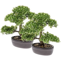 2x Ficus Mini Bonsai kamerplanten 32 cm - Kunstplanten