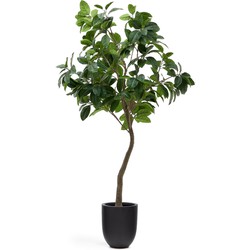 Kave Home - Kunstboom Ficus met zwarte pot 210 cm