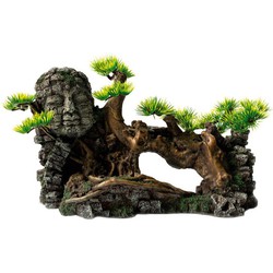 Sf deco bonsai face xxl