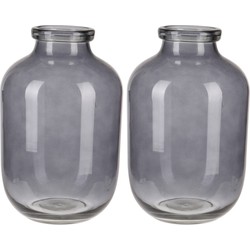 2x stuks grijze glazen vaas/vazen 16 x 28 cm - Vazen