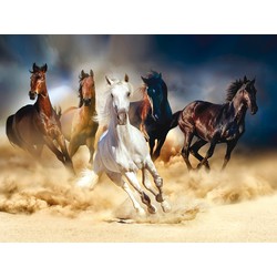 Sanders & Sanders fotobehang paarden beige en blauw - 360 x 270 cm - 600521