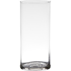 Transparante home-basics cylinder vorm vaas/vazen van glas 19 x 9 cm - Vazen