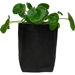 QUVIO Plantenzak uitwasbaar 10x10x20cm - Zwart