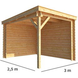 Overkapping Els 300 cm bij 250 cm diep Lessenaarsdak