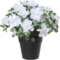 Louis Maes Azalea Kunstplant - in pot - wit - H28 cm - Kunstplanten