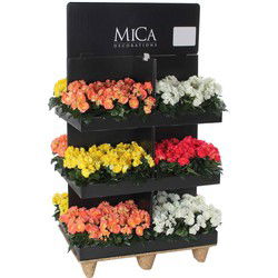 Mica Decorations Kunstplant Begonia - 80x60x120 cm - Polyester - Wit