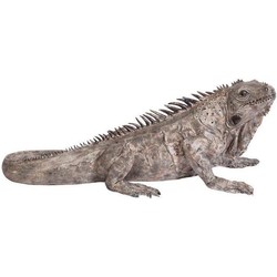 Kare Decofiguur Iguana 135 cm