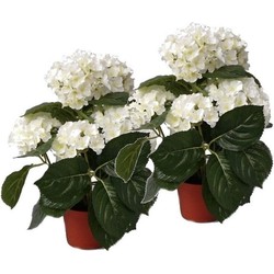 2 Stuks kunstplanten hortensias wit 36 cm - Kunstplanten