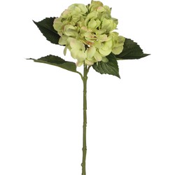 Mica Decorations Kunstbloem Hortensia tak - groen - 51 cm - losse steel - Kunst zijdebloemen - Kunstbloemen