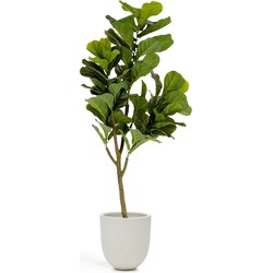 Kave Home - Kunstplant Ficus150 cm