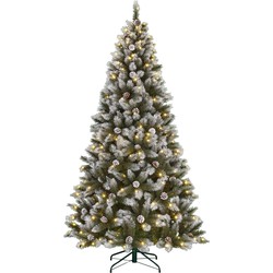 Black Box Trees Pittsfield Kunstkerstboom met LED Verlichting - H215 x Ø117 cm - Groen Frosted