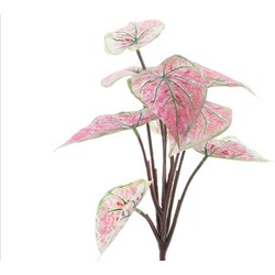 Nova Nature Dieffenbachia Pflanze rosa 32 cm - Nova Nature