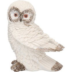 Dierenbeeldje Sneeuwuil Birdy - wit - vogel - 12x13cm - polyresin - Beeldjes