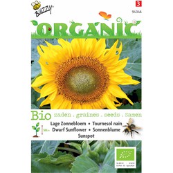 5 stuks - Saatgut Bio Helianthus niedrige Sonnenblume Sonnenfleck (BIO) - Buzzy