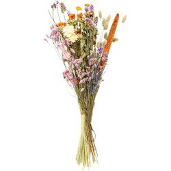 Droogbloemen – Veldboeket –  Meerkleurig – Maat L –  ↕60 cm
