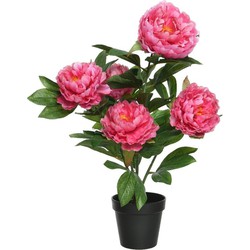 Roze Paeonia/pioenroos - rozenstruik - kunstplant - 57 cm - Kunstplanten