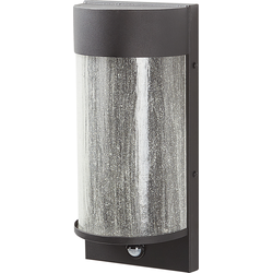 Beliani PHEPPIE - Outdoor LED wandlamp-Zwart-Glas