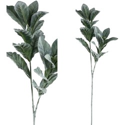 PTMD Leaves Plant Lambs Ear Blad Kunsttak - 30 x 20 x 74 cm - Groen