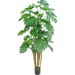 Kunstplant Monstera 210 cm