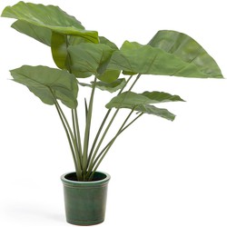 Kave Home - Kunstmatige Alocasia Odora met zwarte plantenpot 57 cm