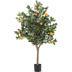 Greenmoods Sinaasappelboom - Citrus sinensis - Nep plant - 1 Stuk - 120cm - Groen -